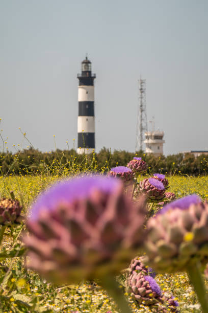istock Small lighthouse at French shore 1165352460