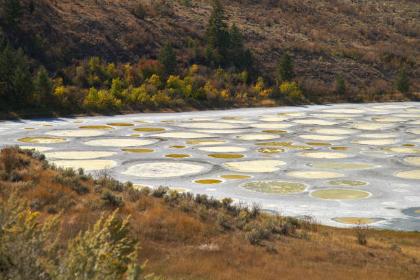 Spotted Lake Osoyoos BC Canada
