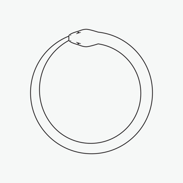 Ouroboros, symbol of snake eating its own tail Vector illustration isolated on white background. Line design, editable stokes anaconda pic stock illustrations