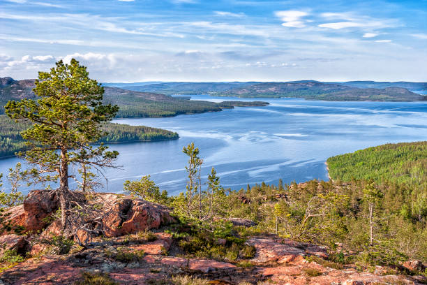 vista sobre la zona de hoga kusten en el norte de suecia - norrland fotografías e imágenes de stock