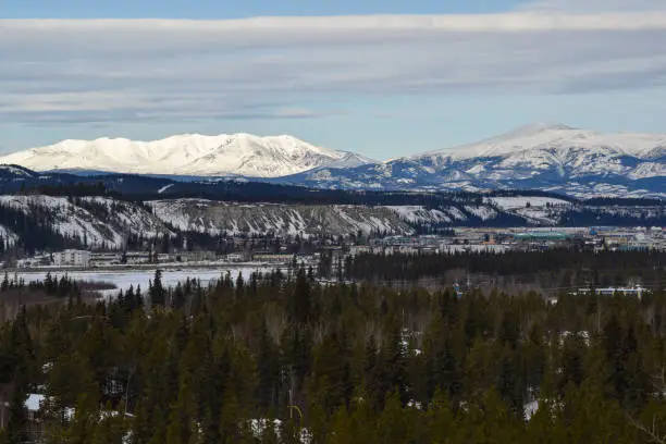 whitehorse embraced by snow capped mountains