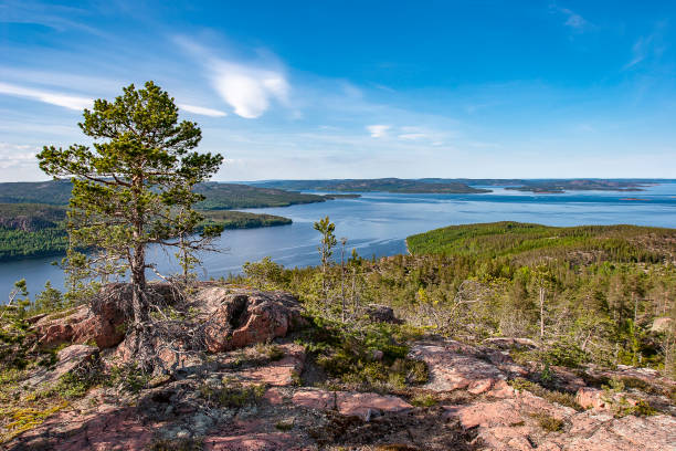 view over hoga kusten area in northern sweden - norrland imagens e fotografias de stock