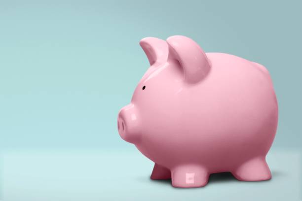istock Piggy bank. 1165357316