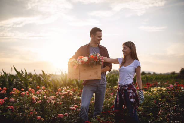 istock Young girl taking a flower from the flower box 1165358089