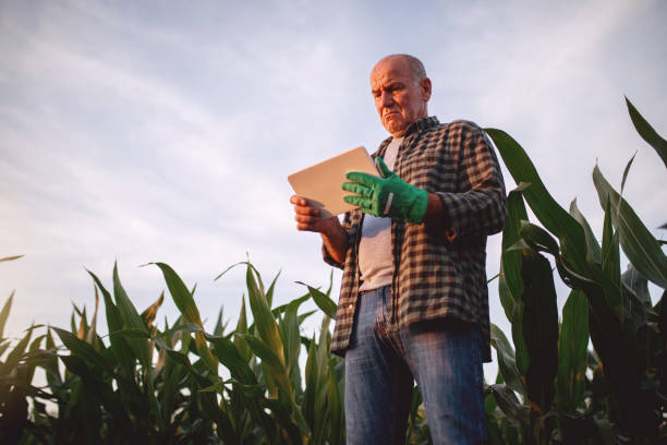 istock Old man surfing the net while standing in his crop fields 1165358195