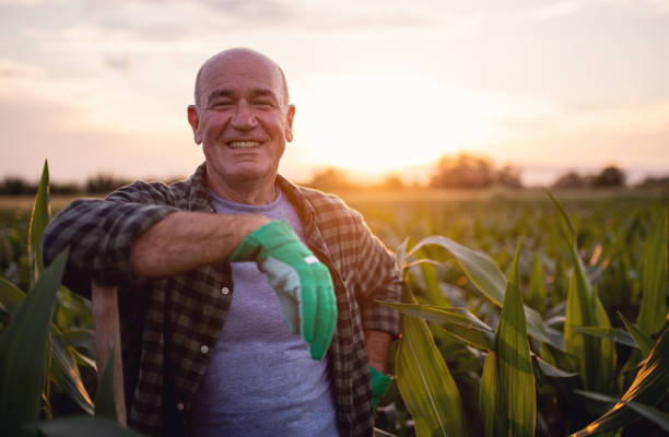 istock Portrait of a joyful retired farmer 1165358233