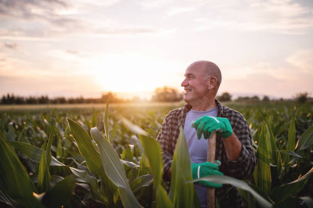 istock Smiling farmer enjoying the view 1165358238