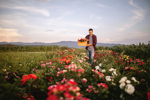 Young upcoming botany student standing in a flower farm