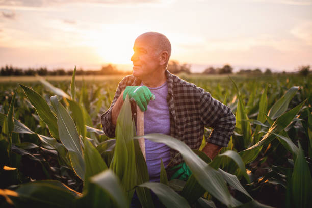 istock Tranquility moments of aging 1165358241