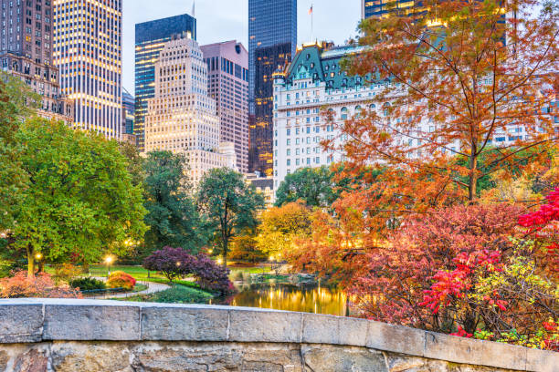 central park, new york city autunno - autumn park central park lake foto e immagini stock