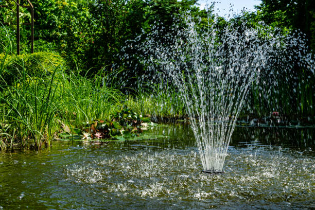 istock Water streams fall on emerald surface of pond. Close-up. Magic pond with cascade fountain. 1165361230