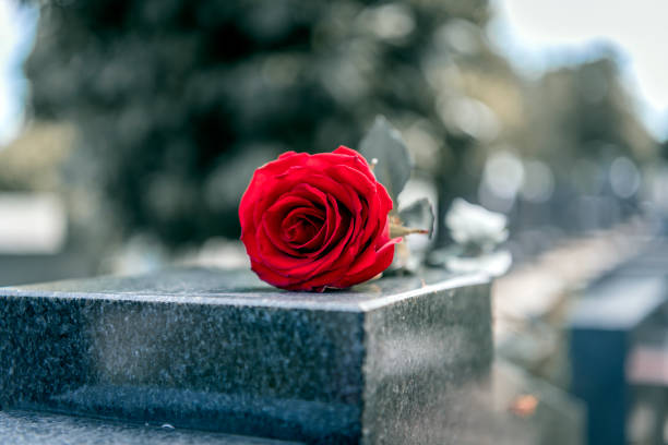 istock Flower on memorial stone close up 1165362217