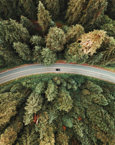 istock winding road in the forest on north america 1165362792