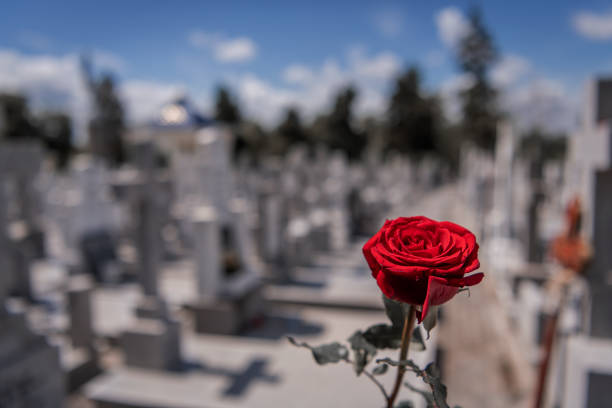 istock Flower on memorial stone close up 1165362921