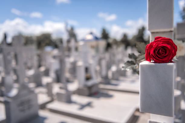 istock Flower on memorial stone close up 1165363669