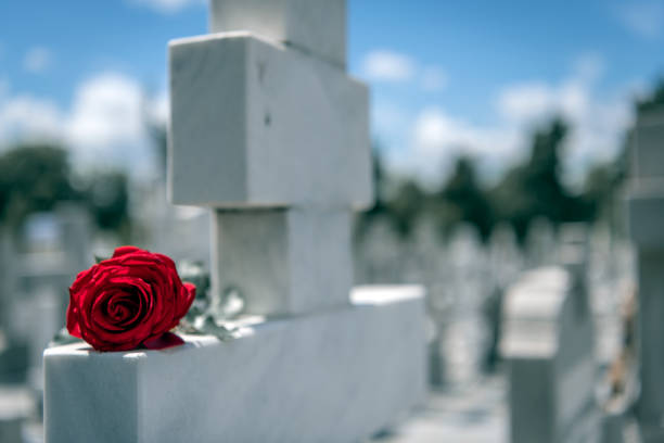 istock Flower on memorial stone close up 1165363883