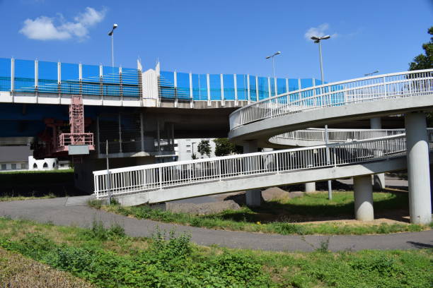istock pedestrian walkway up to cable-stayed bridge across Rhine 1165365641