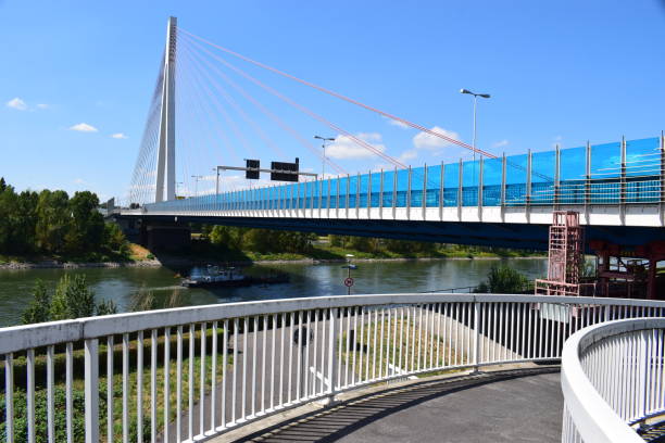 istock pedestrian walkway up to cable-stayed bridge across Rhine 1165366848