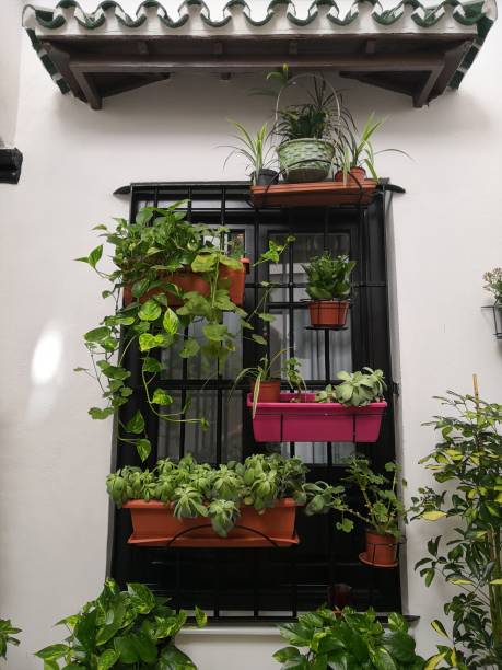 istock Typical interior architecture details from the South of Spain 1165366972