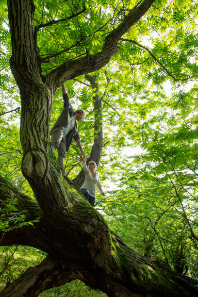coppia matura raggiungere per una mano in un grande albero - tree harmony couple trust foto e immagini stock