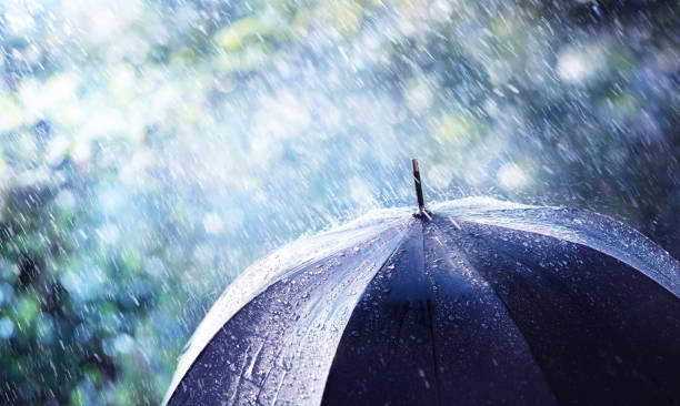 pioggia e vento sull'ombrello nero - concetto meteorologico - pioggia foto e immagini stock