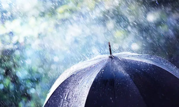 Photo of Rain And Wind On Black Umbrella - Weather Concept