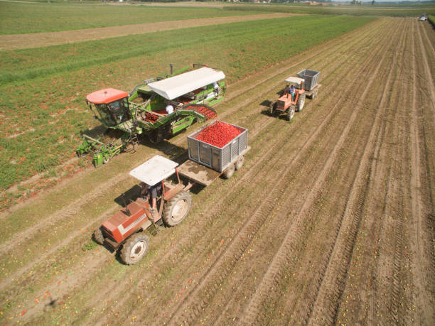 istock Overhead view of agriculture farming 1165372169