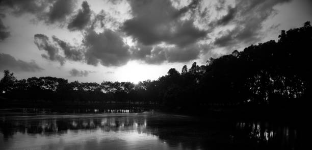 istock Silhouette tree leaves around a lake in afternoon 1165376329