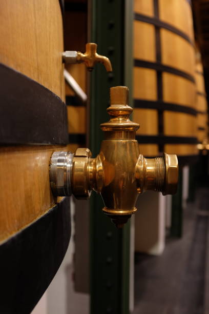 istock Wooden wine tanks 1165376350