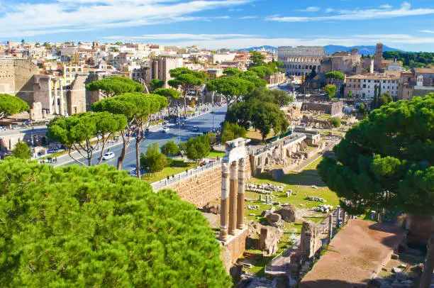 Ruins of Colosseo, Templum Pacis (Forum of Vespasian) and Tempio di Venere e Roma among many high green trees. Old town of Rome, Italy. Sunny autumn day. Shot from above