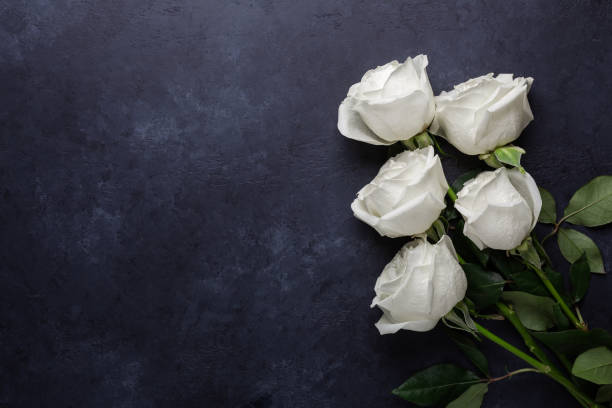 istock White rose flowers bouquet on black stone background 1165379445