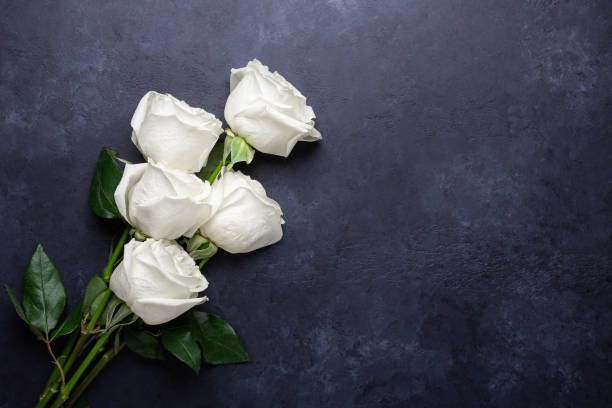 istock White rose flowers bouquet on black stone background 1165379451