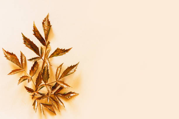 istock golden leaf design elements. Decoration elements for invitation, wedding cards, valentines day, greeting cards. 1165379587
