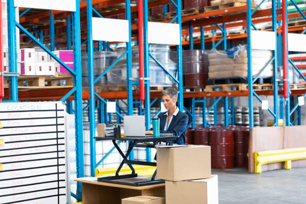 istock Female manager working at desk in workhouse 1165383361