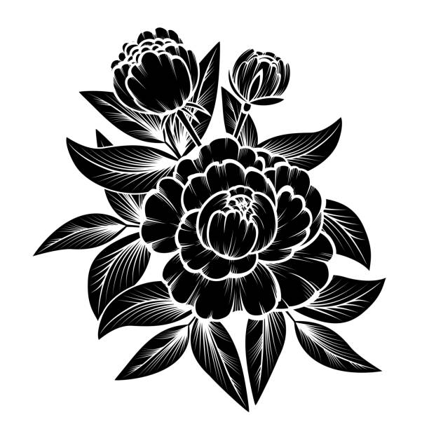 Branch of roses vector art illustration