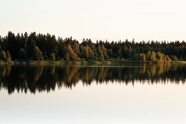 istock Nature summer scene with reflections in the water 1165389062
