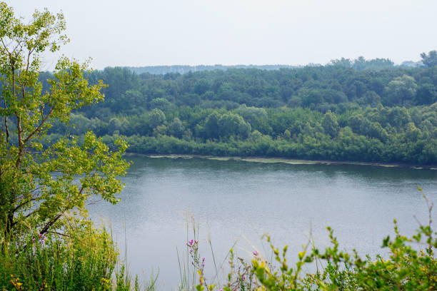 istock Mountain green forest and river in summer 1165391311