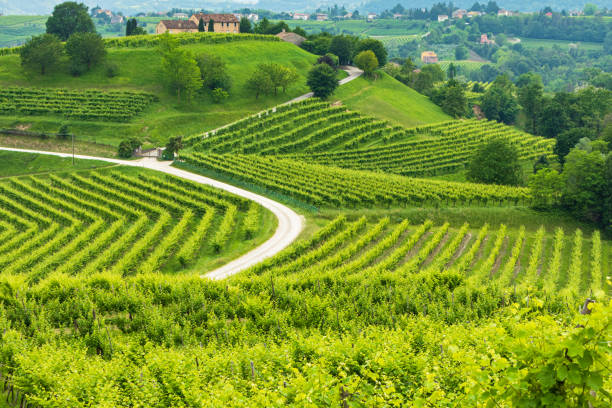 Conegliano Veneto - Collabrigo - the prosecco hills