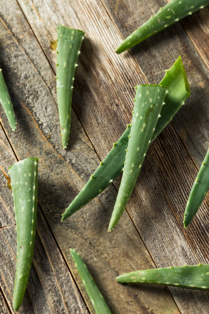 istock Raw Green Organic Aloe Vera 1165393004