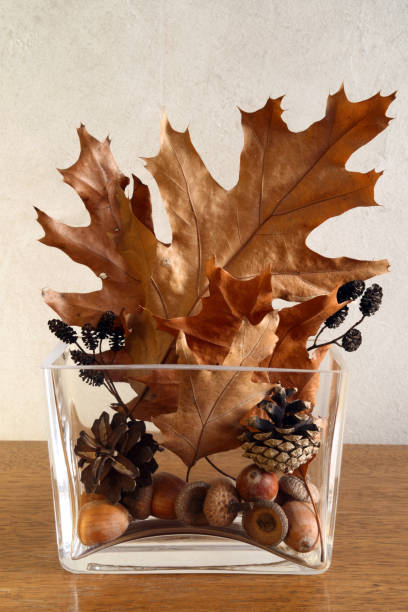 istock Autumn decoration in glass vase 1165396166