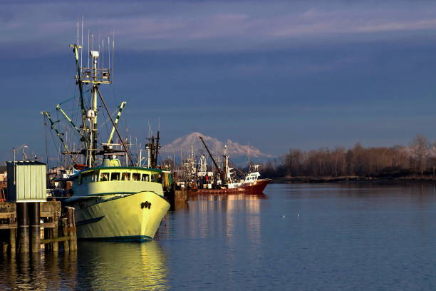 istock Fishing  Boats at The Marina 1165398612