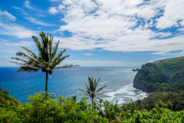 Hawaii From Pololu Valley Lookout, overlook of Kohala coastline of Big Island stock photo