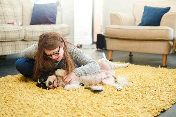 istock teenage girl grooming her dog 1165412708