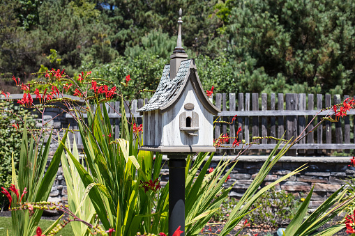 bird feeder in the park