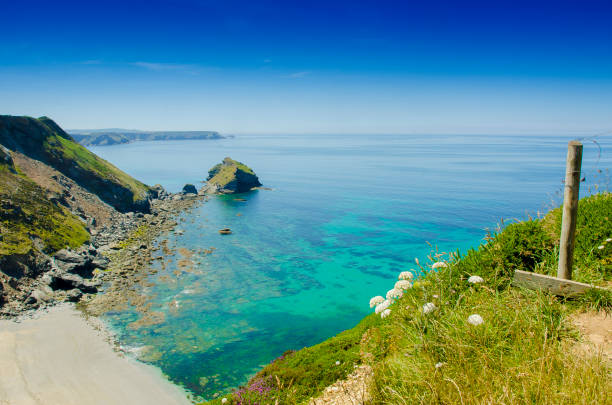 istock Basset Cove 1165413413