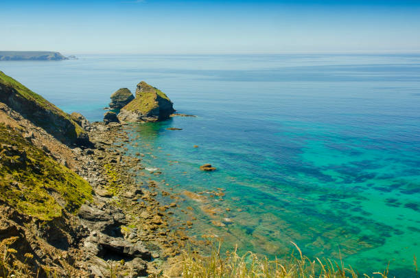 istock Basset Cove 1165413470