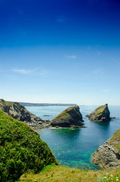istock Basset Cove 1165413473