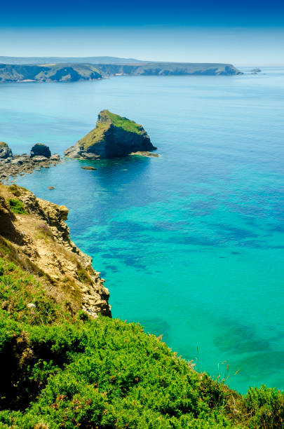 istock Basset Cove 1165413474