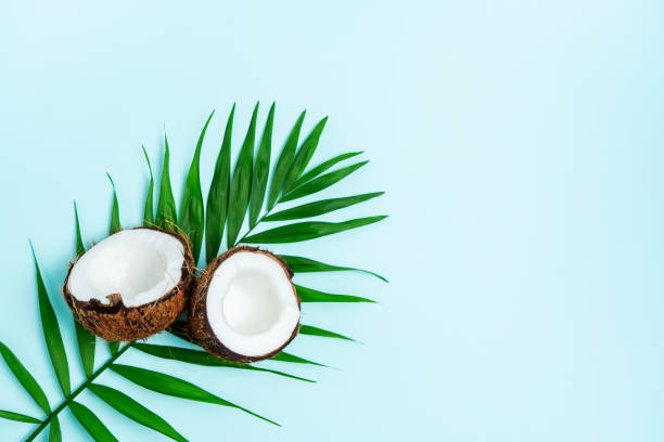 istock Composition with fresh halfies coconuts on palm leaves over turquoise background with copy space. Exotic botanical concept for cosmetics, spa, perfume, aroma, health care products. 1165417179