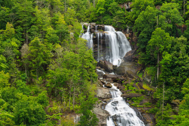 Whitewater Falls, North Carolina. Whitewater Falls near Cashiers in the mountains of North Carolina, USA. There is a paved trail to see the magnnificent falls. national forest stock pictures, royalty-free photos & images
